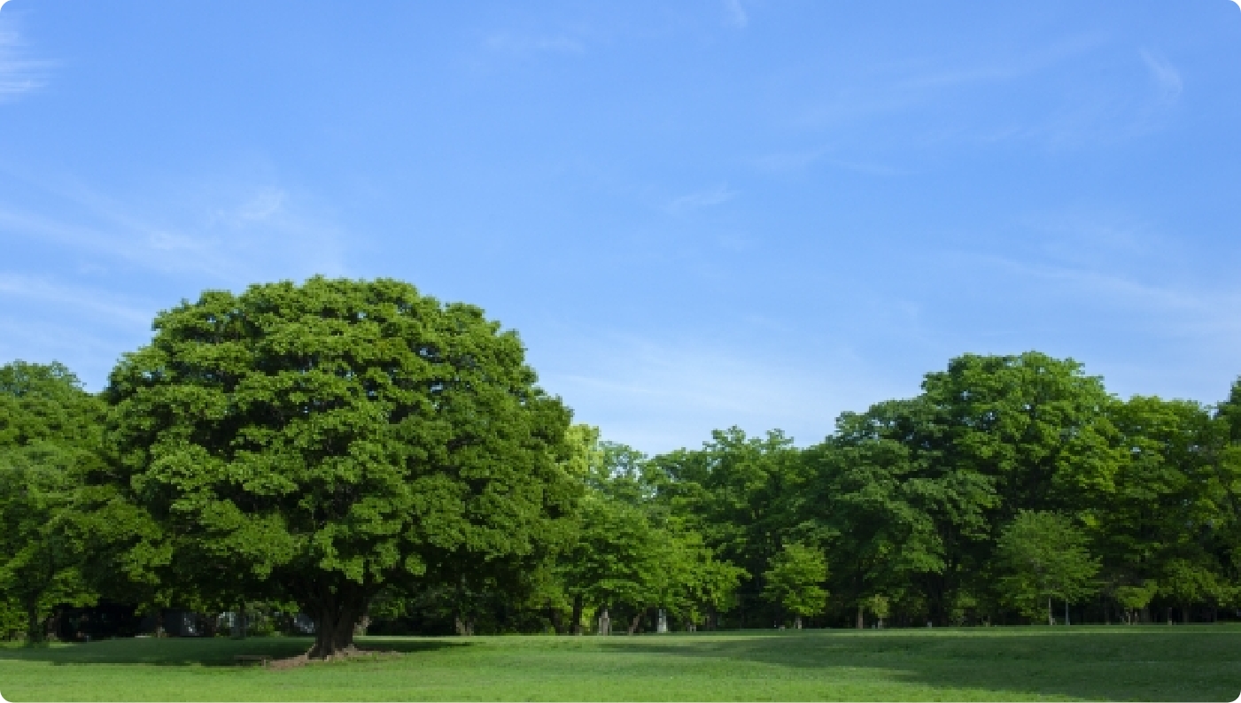 沿革